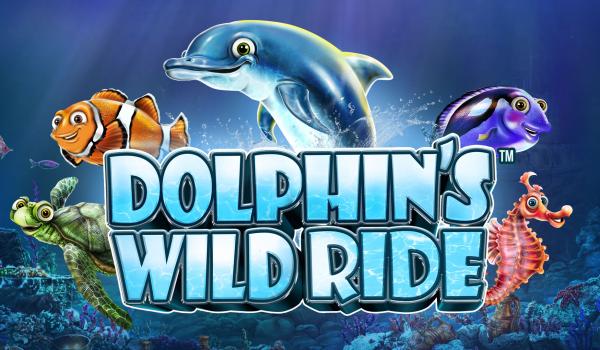 Dolphin's Wild Ride